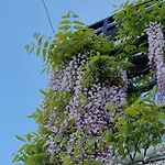 Apartman Barac