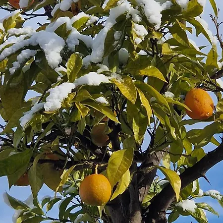 Barac Апартаменты *