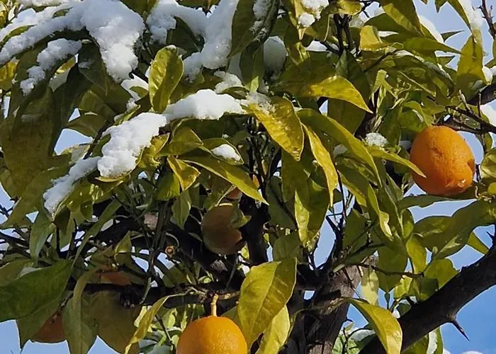 Barac Апартаменты *